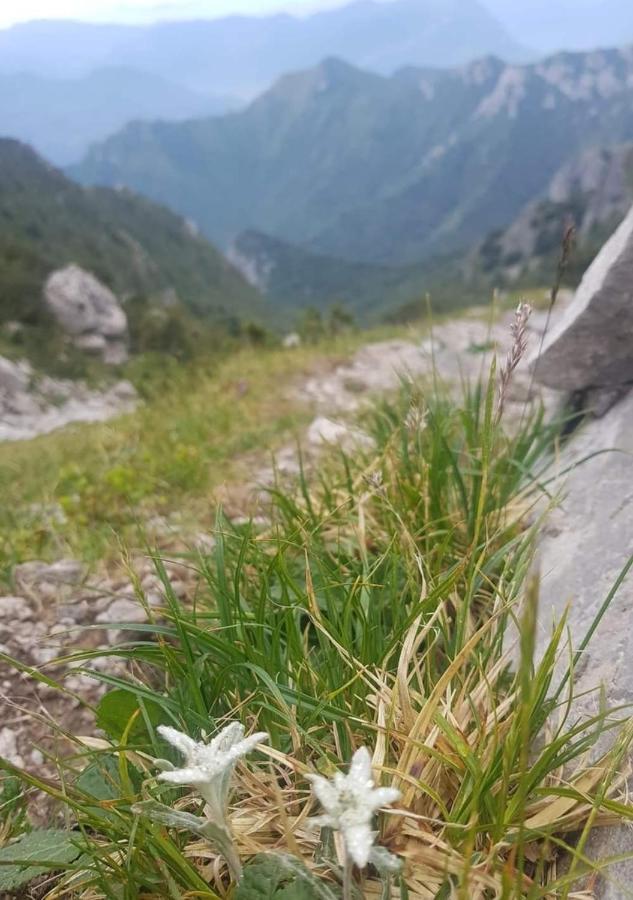Stephanie Residence Esino Lario Zewnętrze zdjęcie